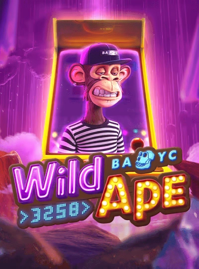 nat666 nat666